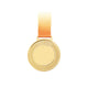 xTool Selected Gemusterte runde Metallmedaille (10 Stk.)